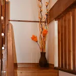 Rurales 아파트 *