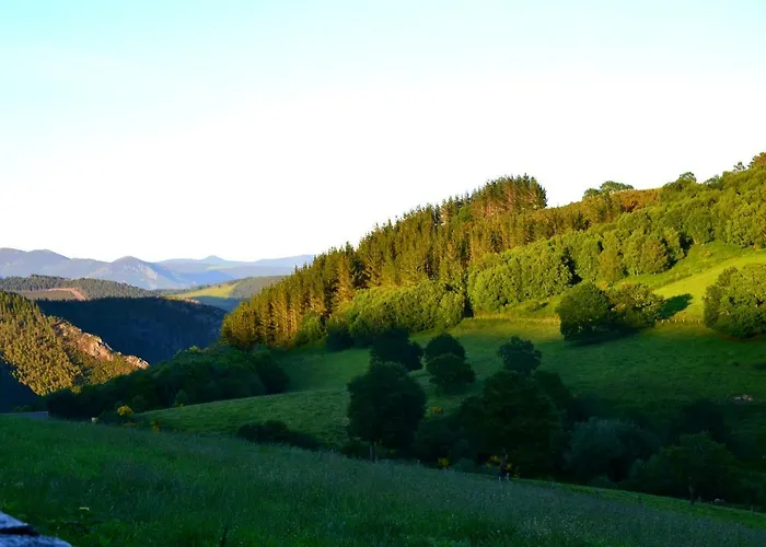 Apartamento Rurales Ron